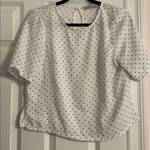 Polka dot short sleeved blouse